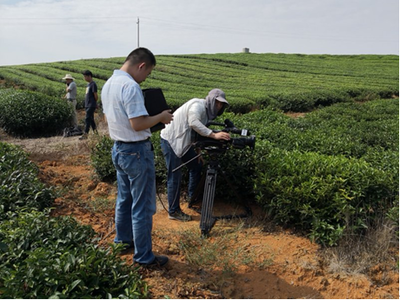 岳阳黄茶与白泥湖螃蟹亮相CCTV-7《农广天地》摄制服务